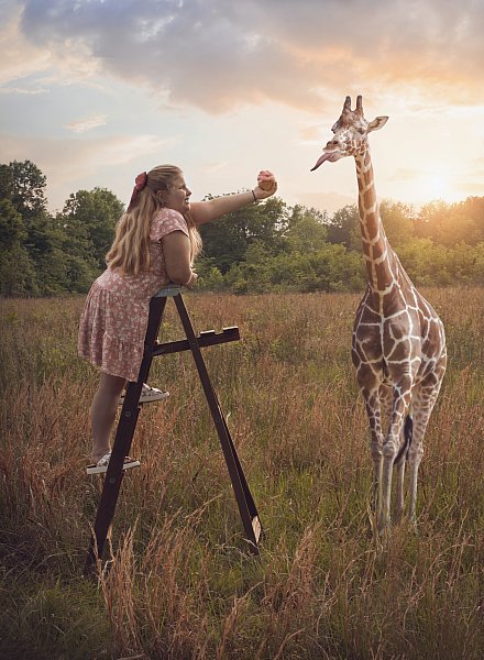 don't feed baby giraffes.jpg